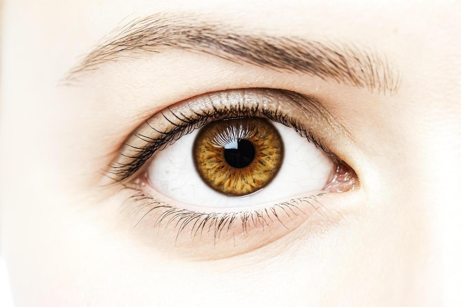 Close Up Of A Beautiful Hazel Eye With Long Eyelashes photo