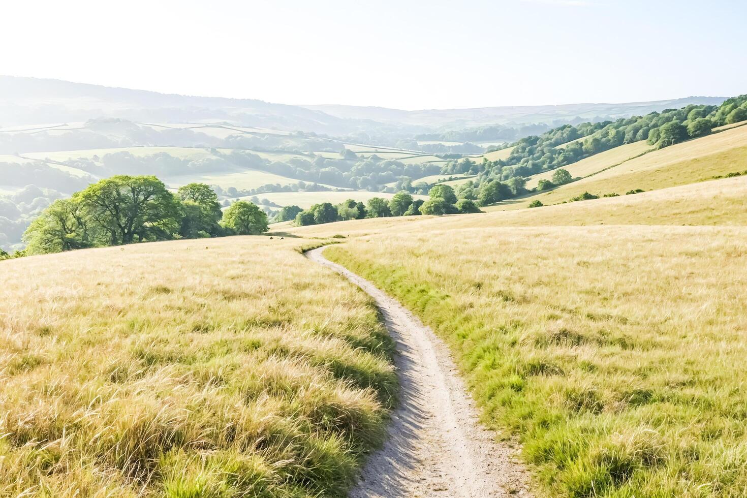Winding Country Road Through Green Fields photo