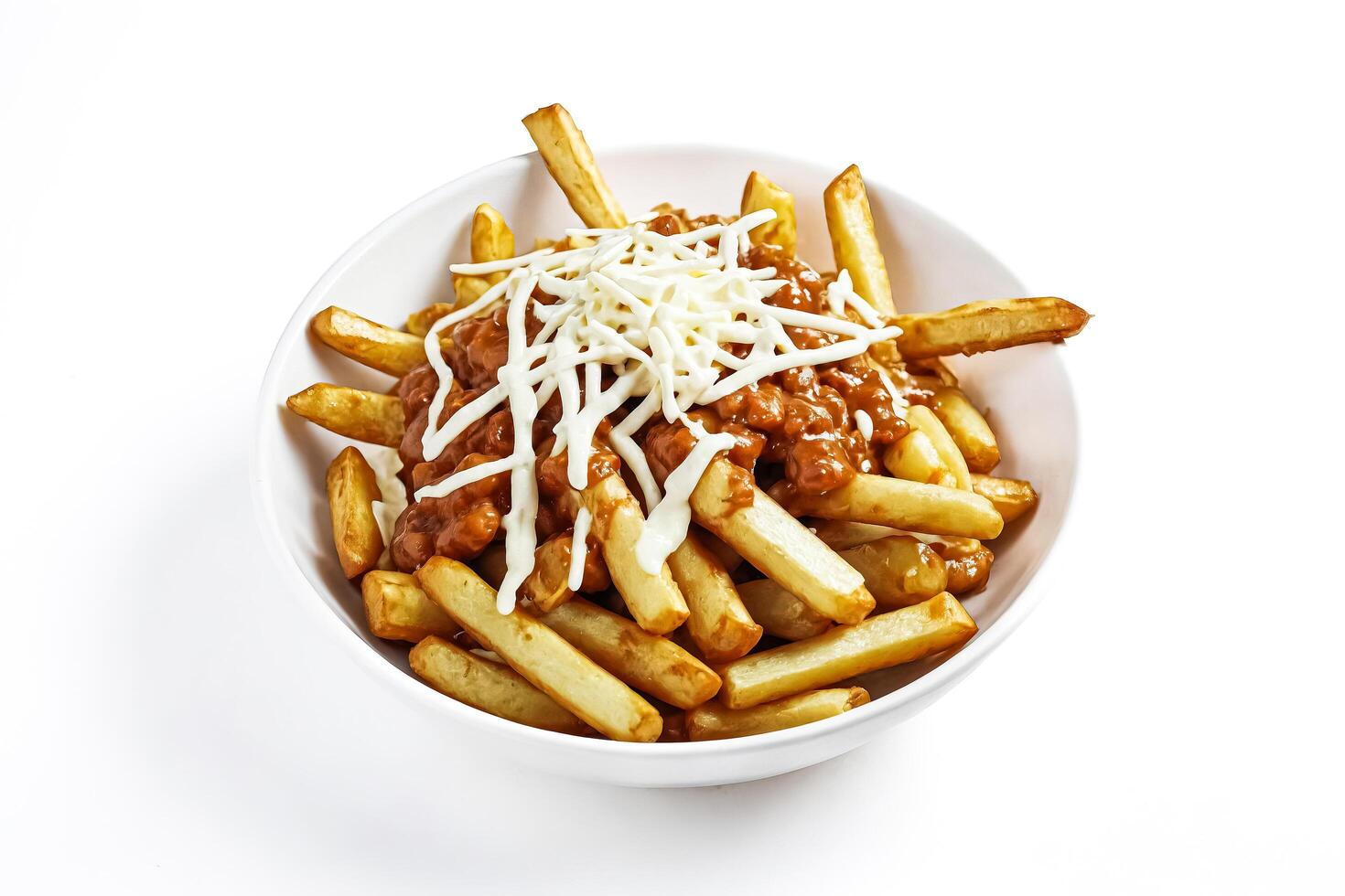 Poutine with Gravy and Cheese Curds photo