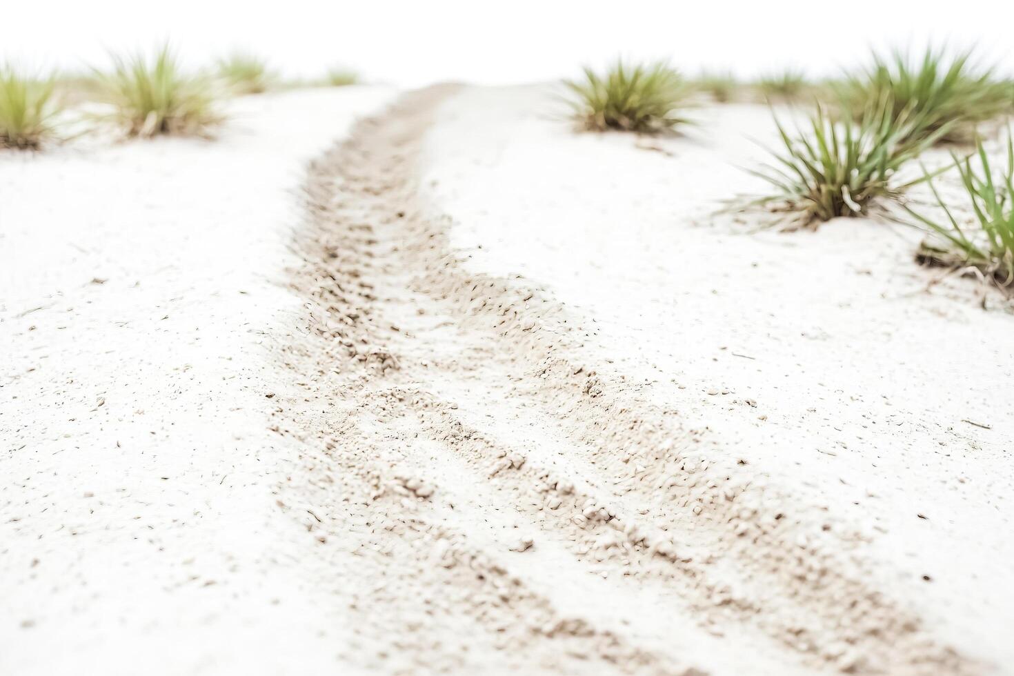 Tire Tracks in the Sand photo