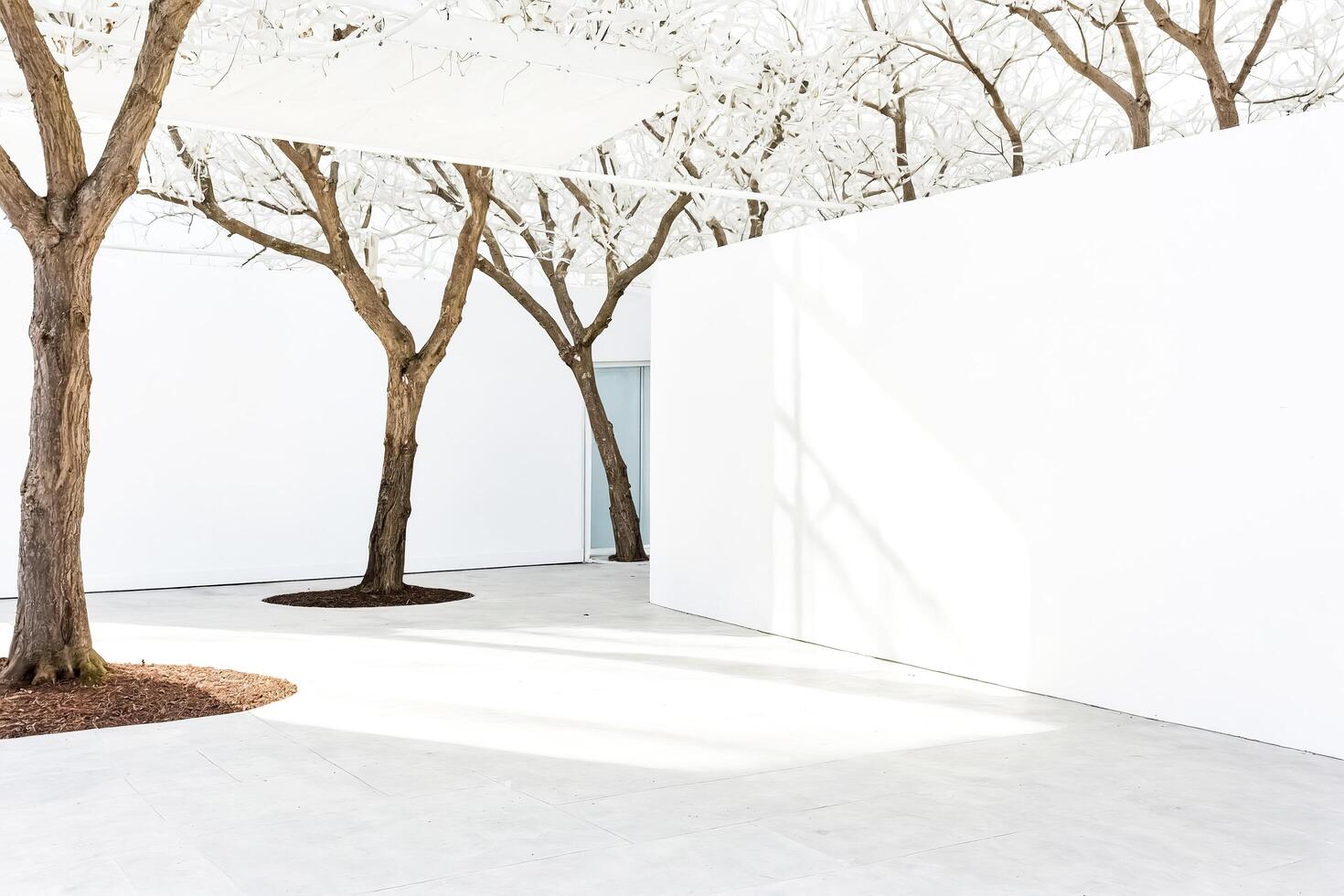 Minimalist White Architecture with Trees photo