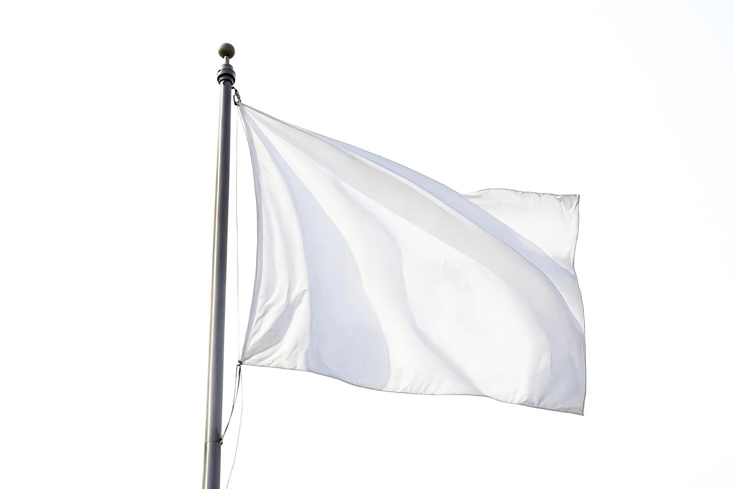 White flag waving in the wind photo