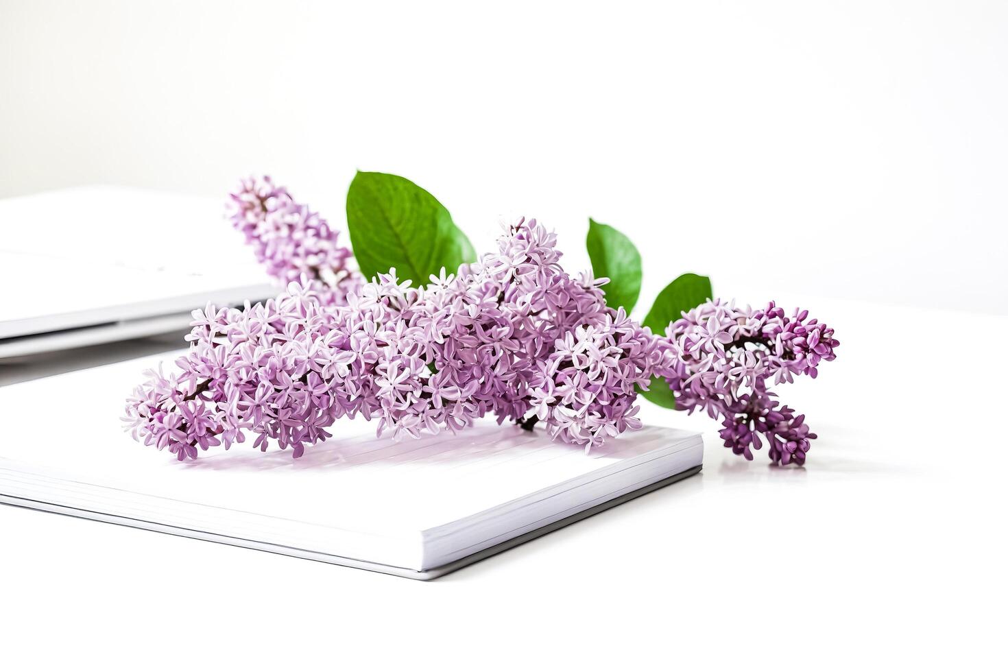 Lilac Branch on Notebook on White Background photo
