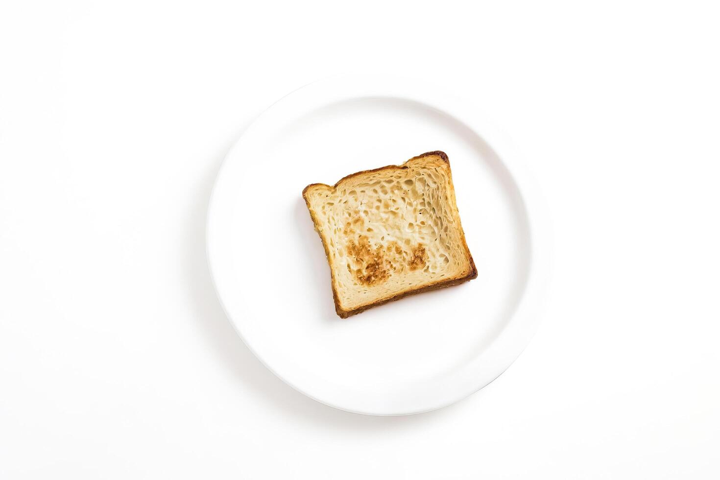 A slice of toasted bread on a white plate photo