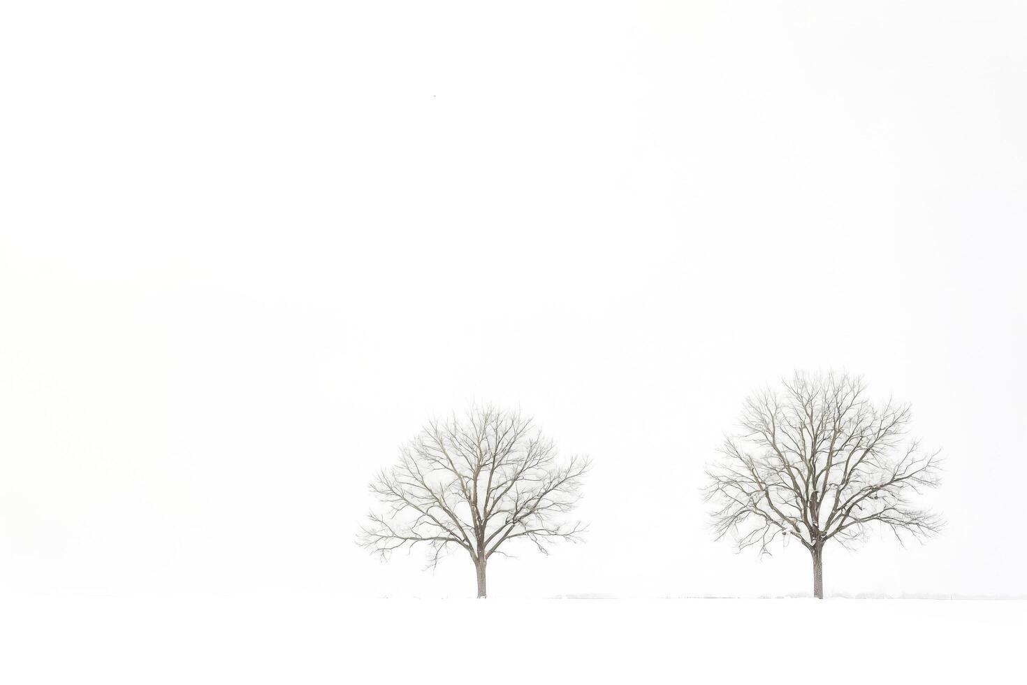 Two bare trees in a snow-covered field photo