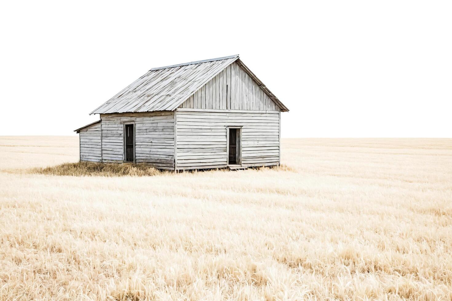 Old Farmhouse in a Field of Wheat photo