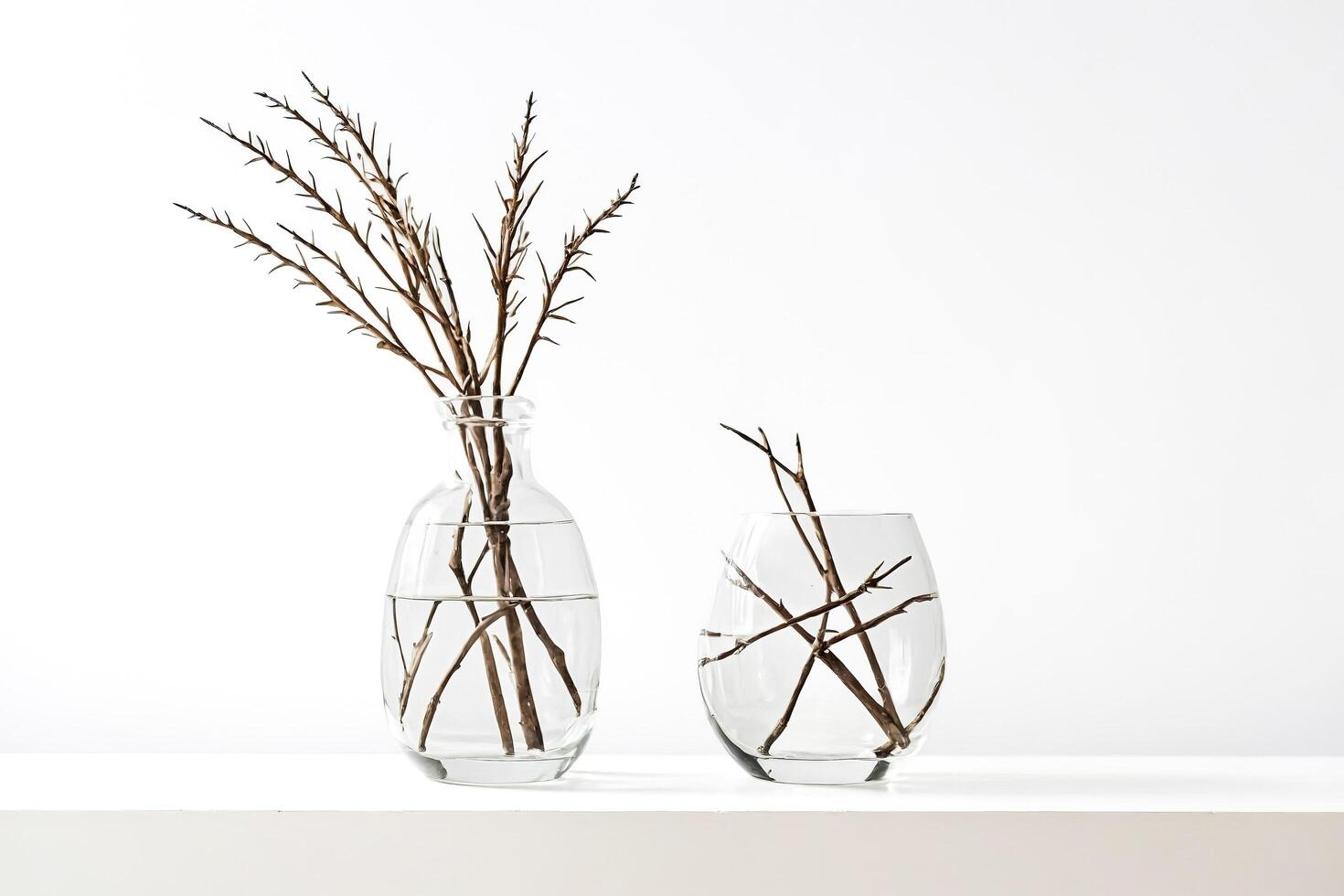 Two Glass Vases With Dried Branches On A White Background photo
