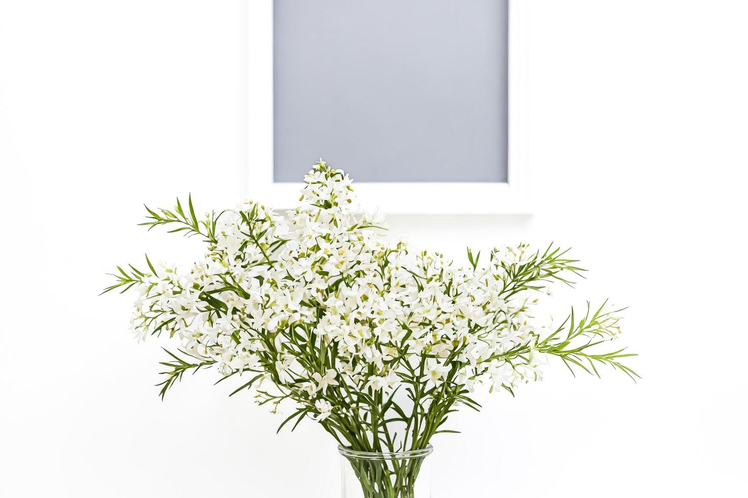 White Flowers in a Vase Against a White Background photo