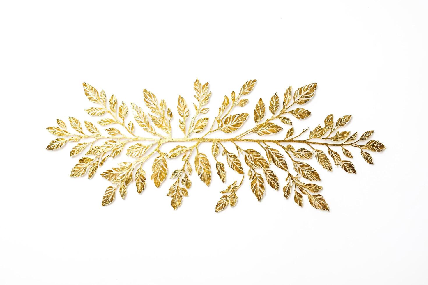 Golden Leaf Branch on White Background photo