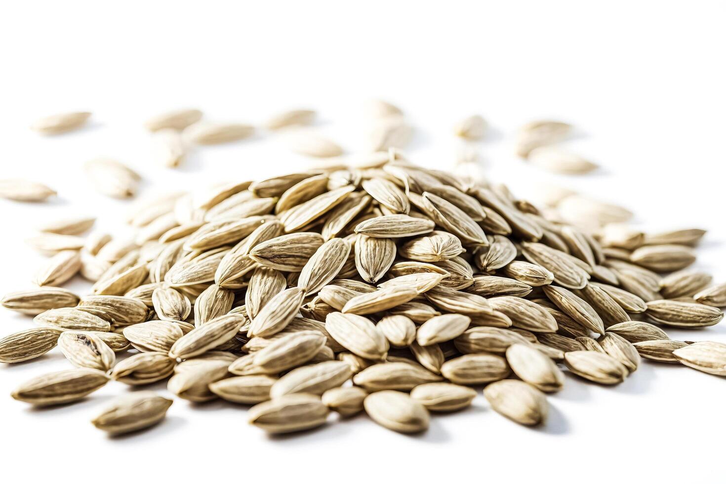 Closeup of a Pile of Almond Seeds photo