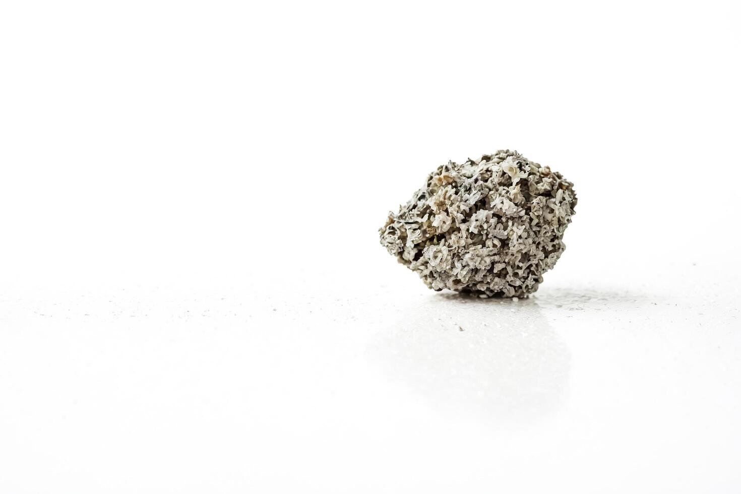 Closeup of a Small, Rough Rock Isolated on White Background photo