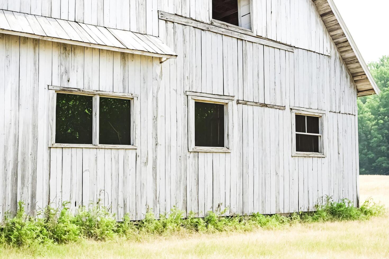 White Barn with Windows photo