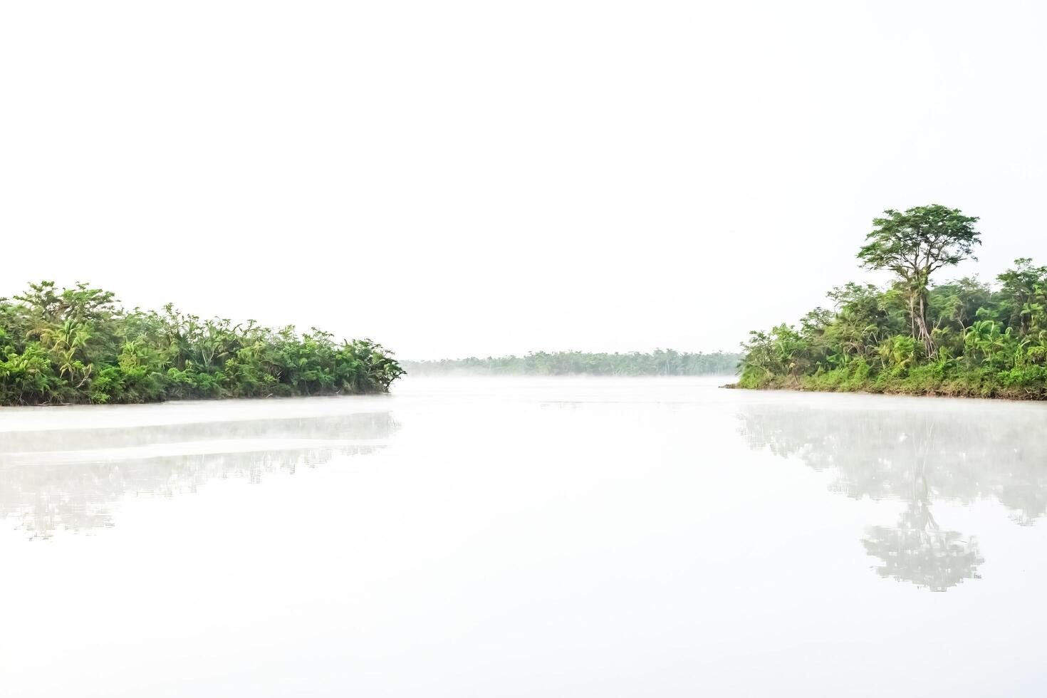 Serene River in the Mist photo