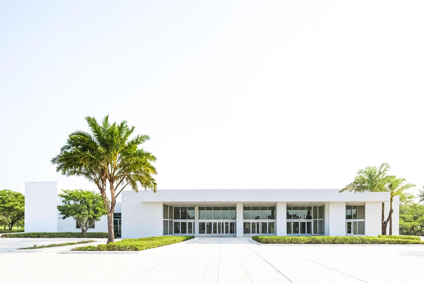 Modern White Building with Palm Trees photo
