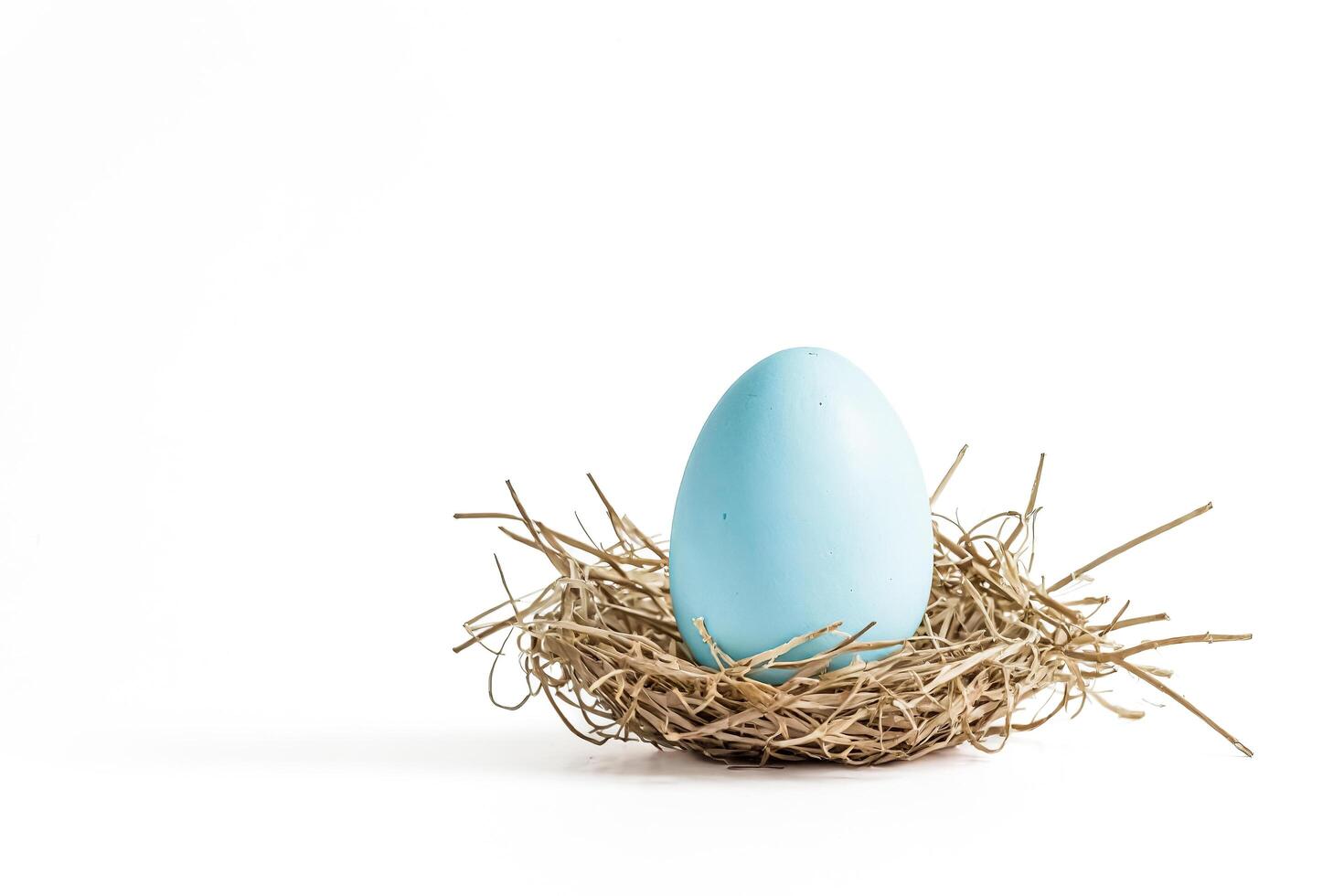 Blue Easter Egg in a Nest photo