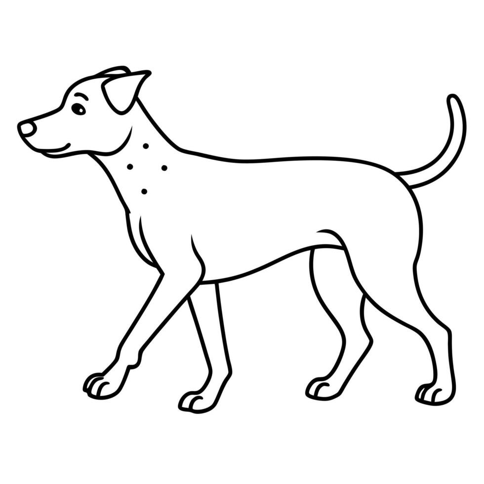 Dachshund dog swims icon vector