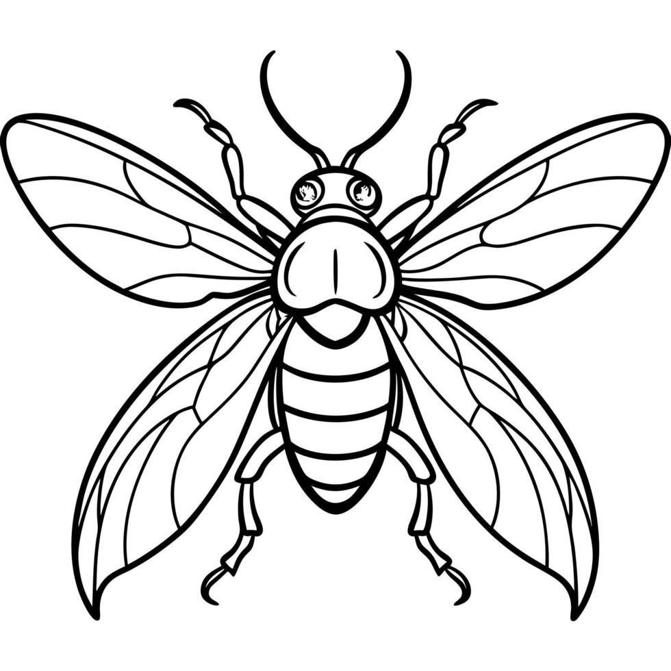 Darkling Beetle bug swims icon vector