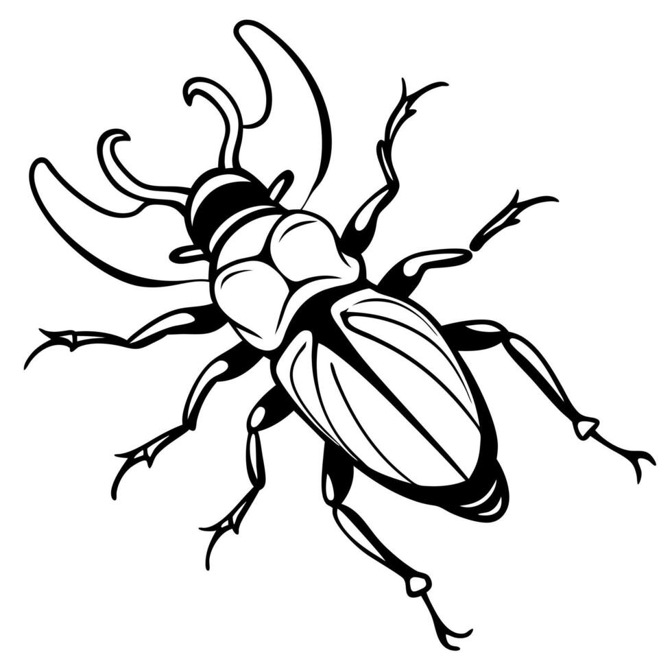 Darkling Beetle bug jumps icon vector
