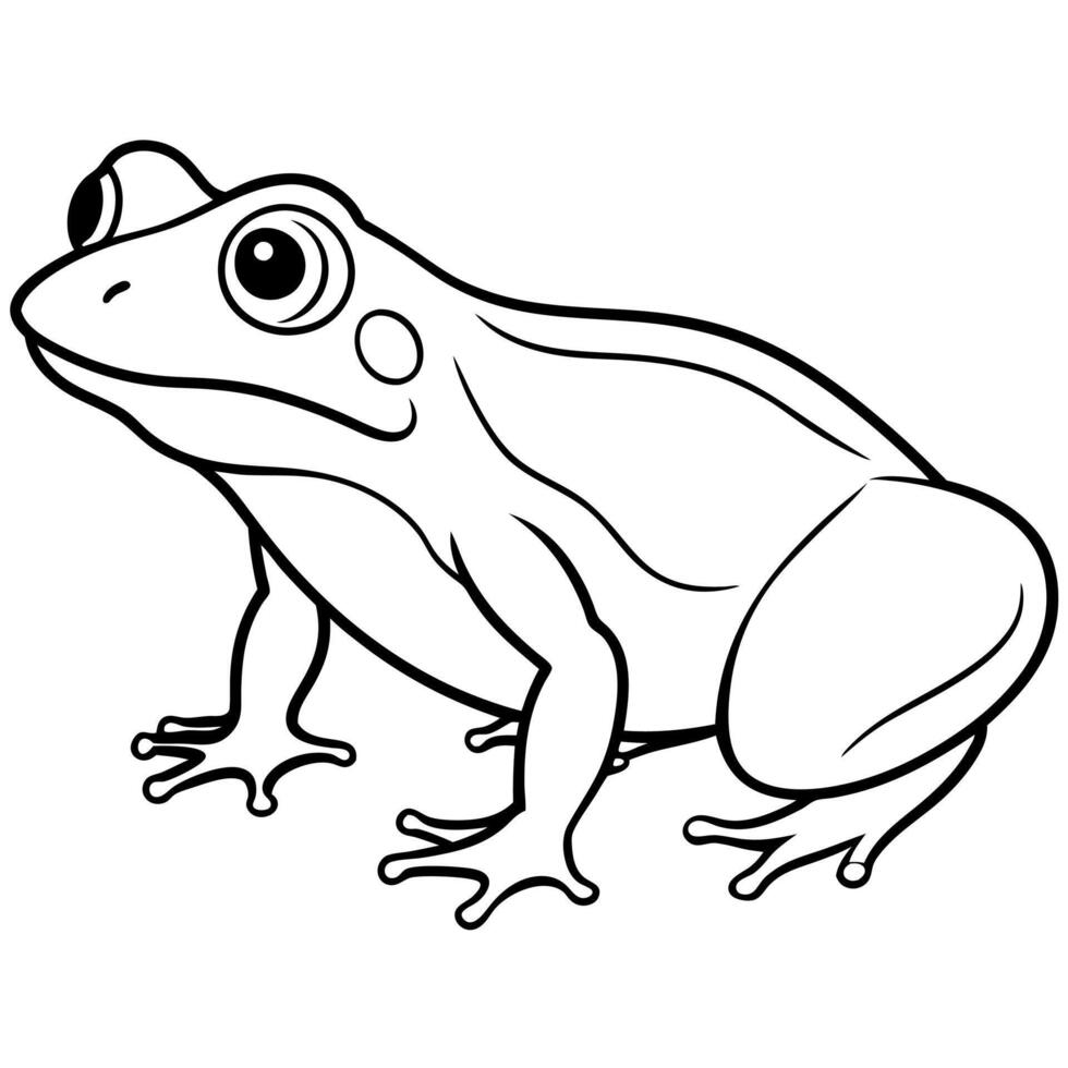Darwins Frog stands icon vector