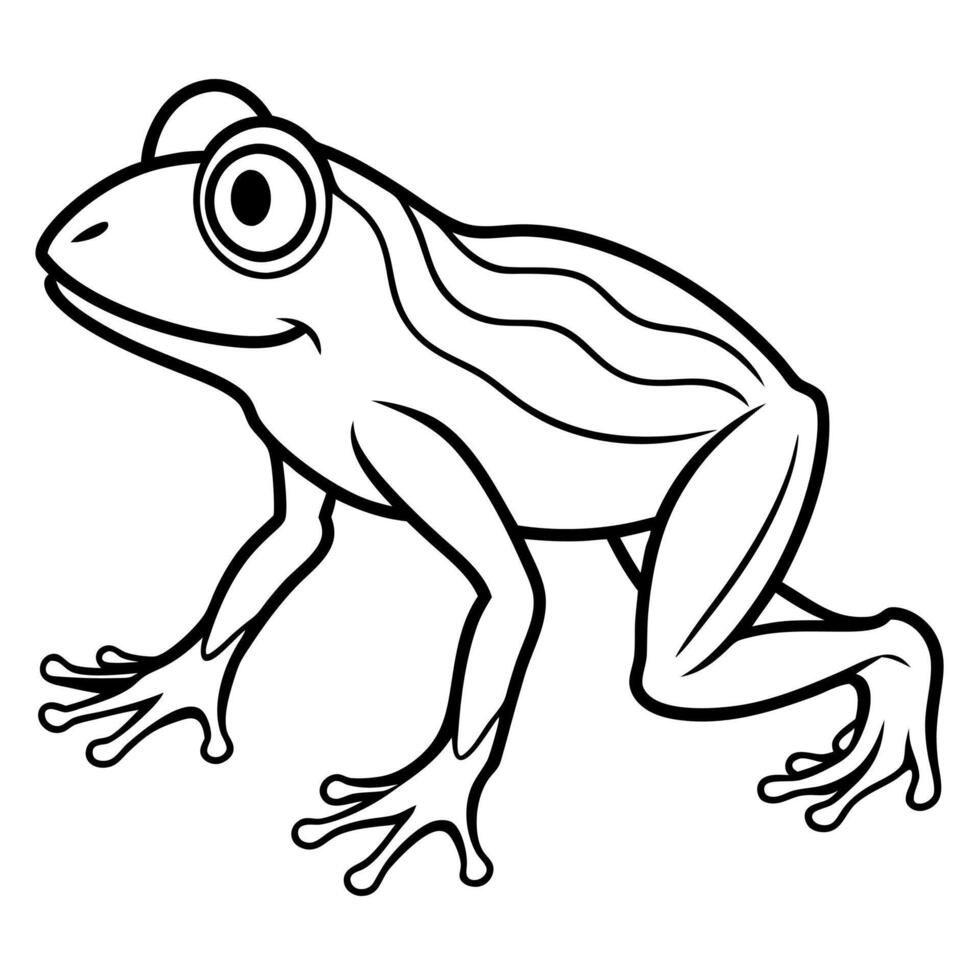 Darwins Frog walks icon vector