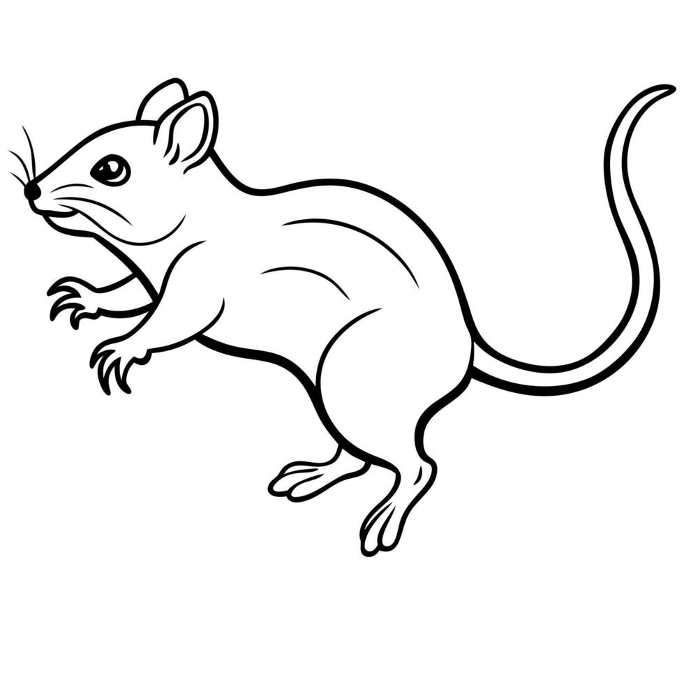 Dassie Rat mouse jumps icon vector