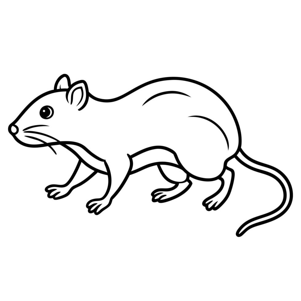 Dassie Rat mouse runs icon vector