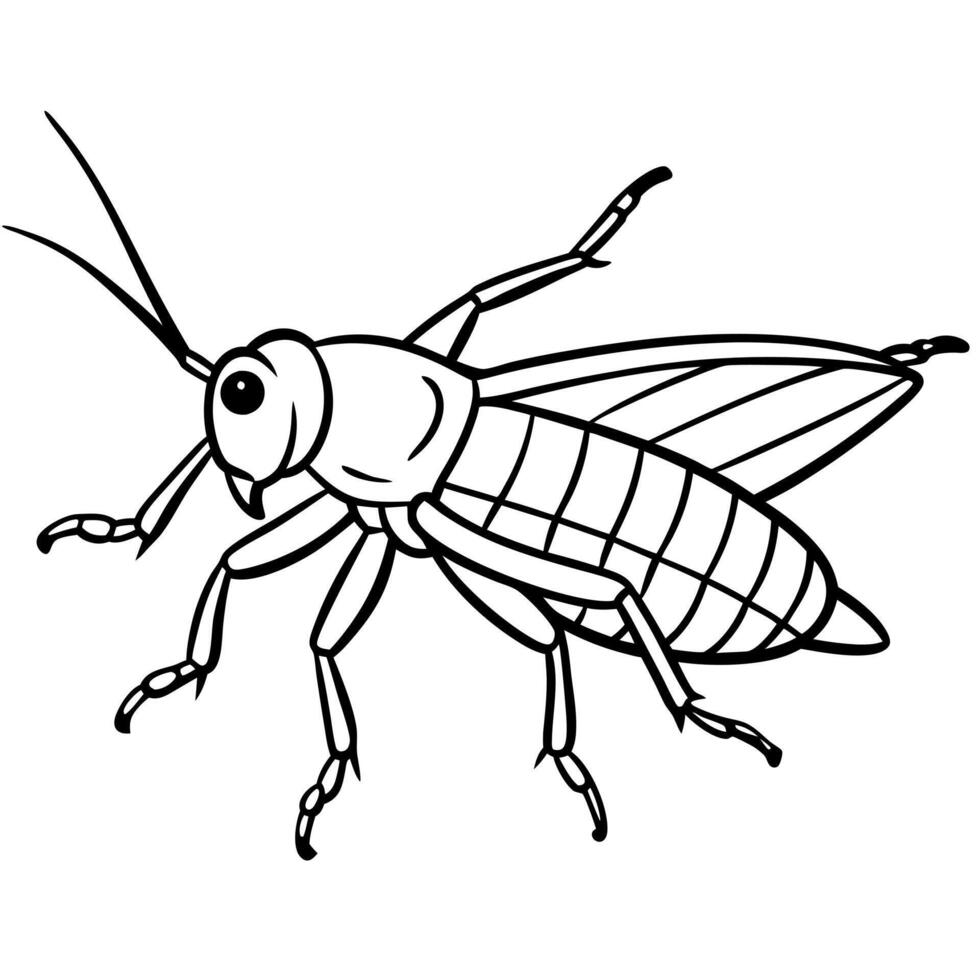 Desert Locust cricket flies icon vector