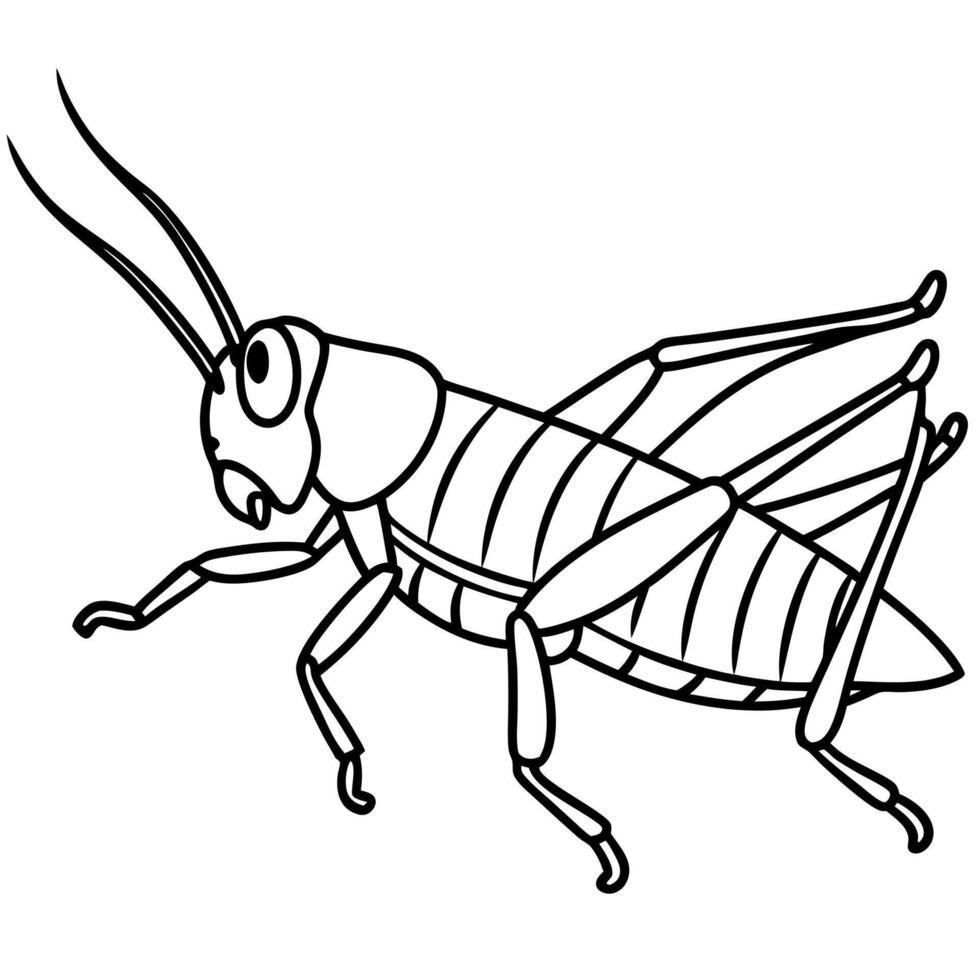 Desert Locust cricket jumps icon vector