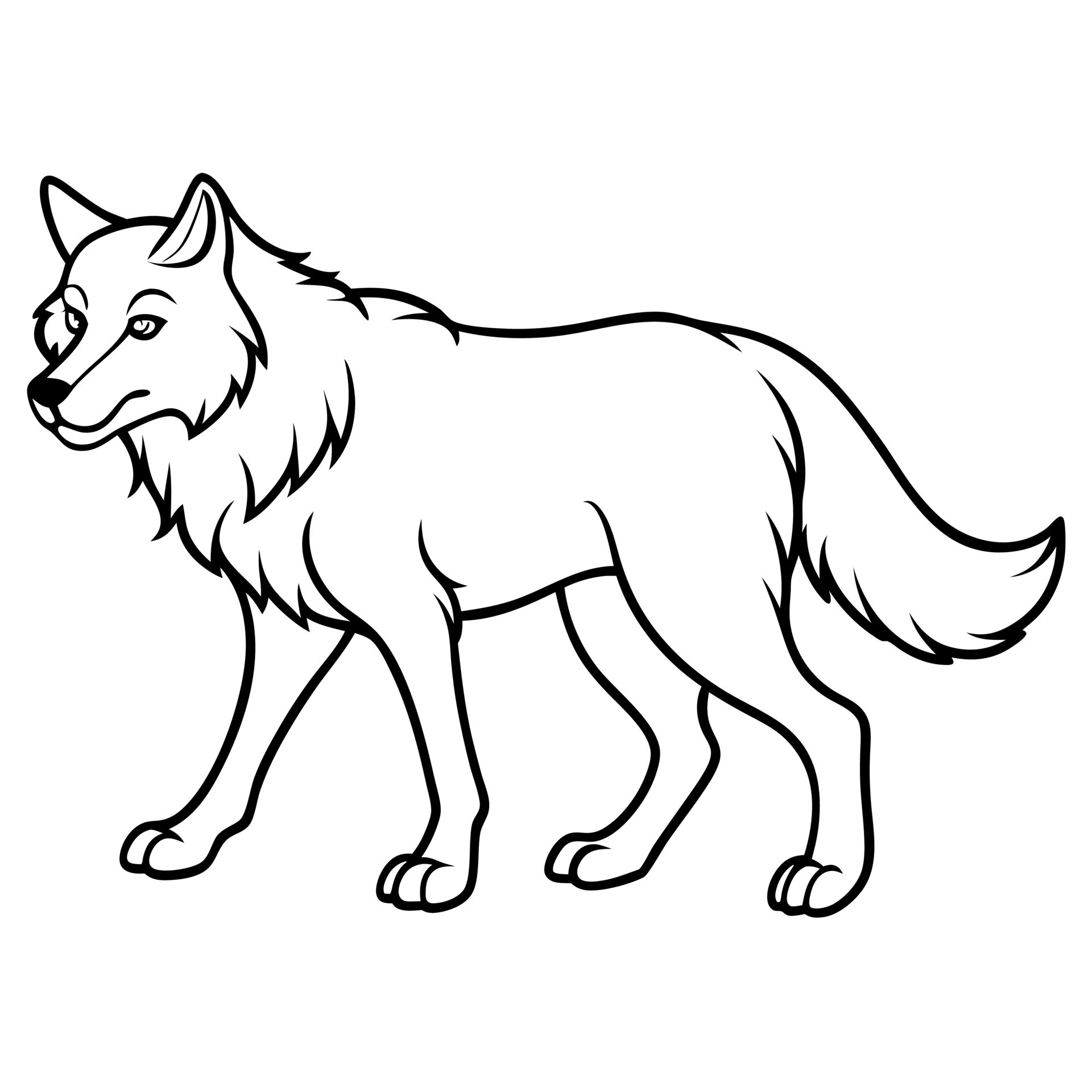 Dire Wolf Size: Jaw Dropping Human Comparison! - 67plvaf