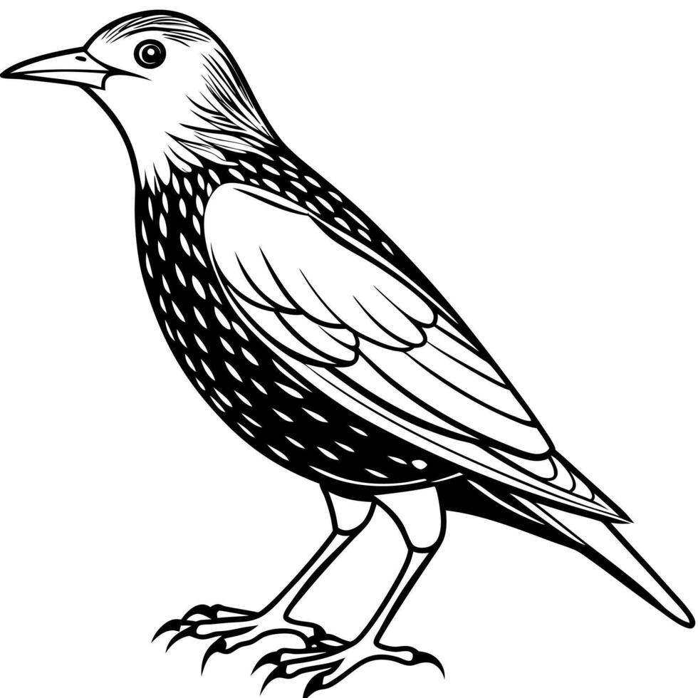 Dracula Parrot runs icon vector