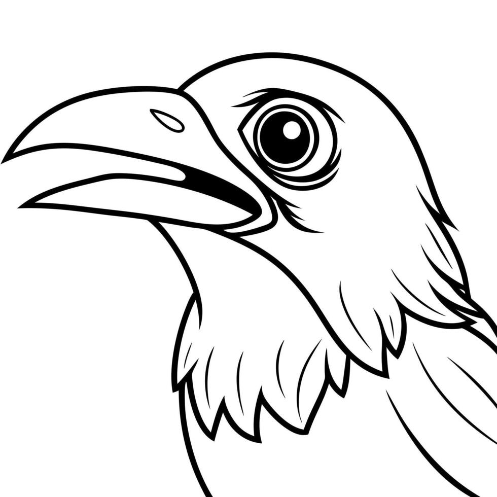 Drongo bird sleeps icon vector