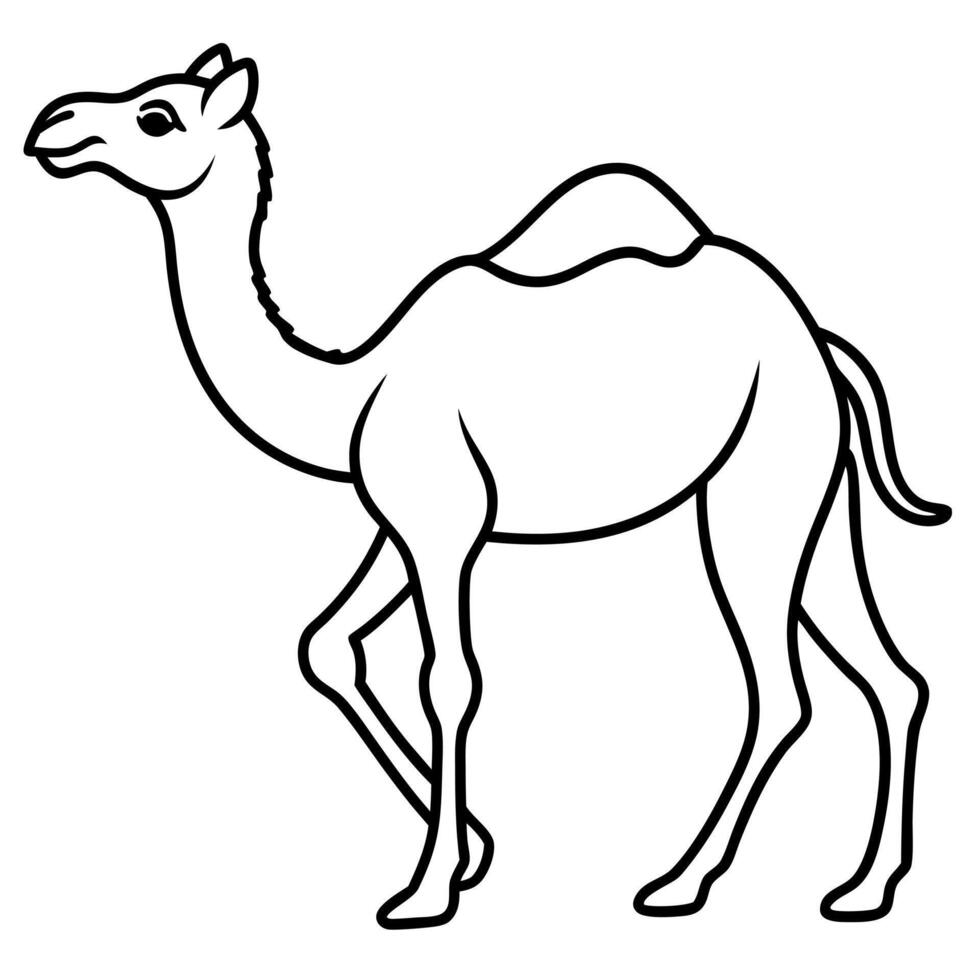 Dromedary Camels camel runs icon vector