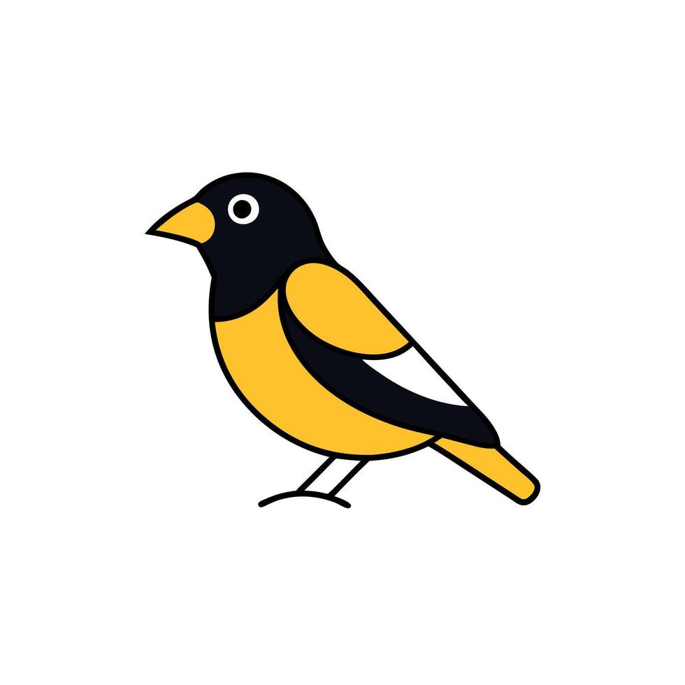 Drongo bird swims icon vector
