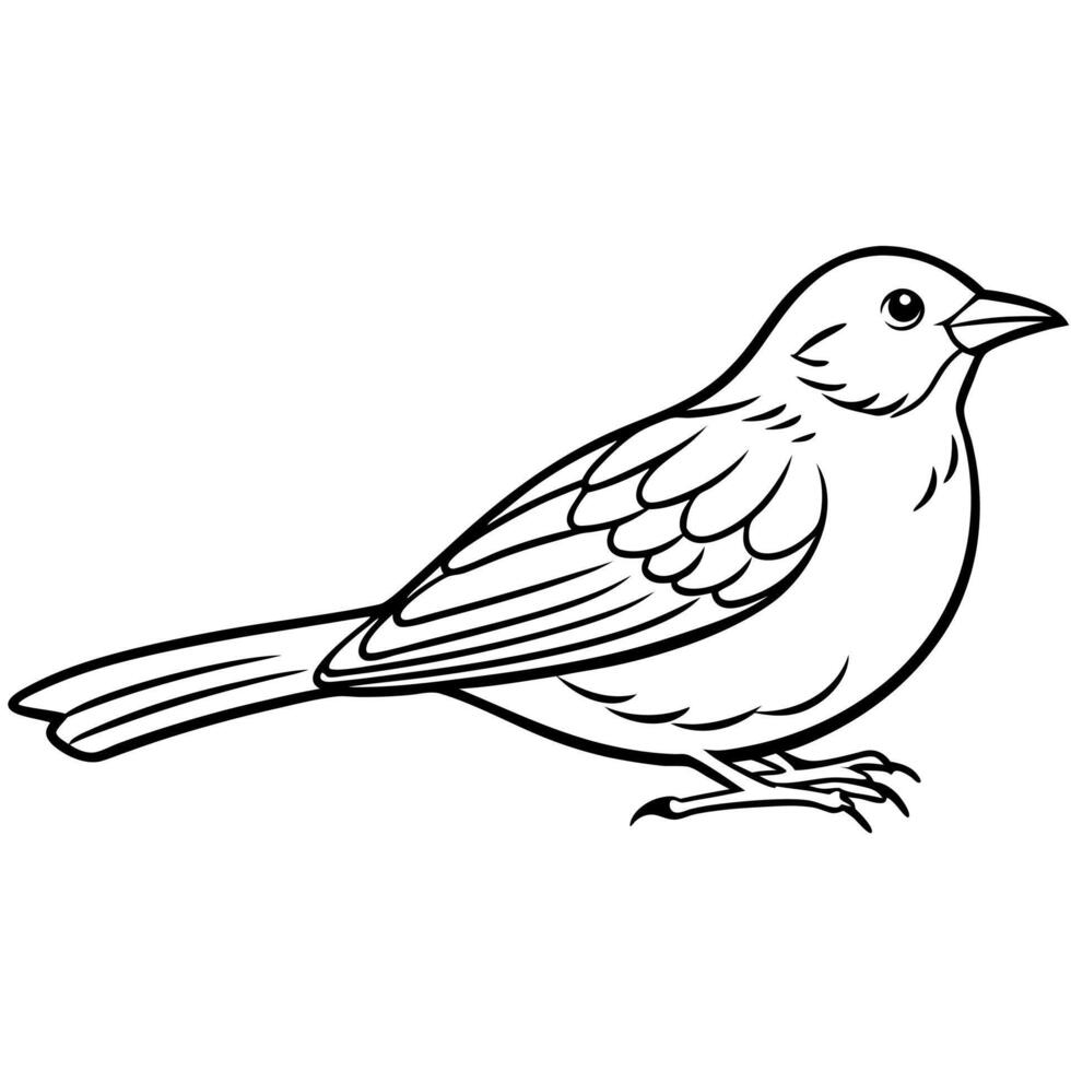 Dunnock bird lies icon vector