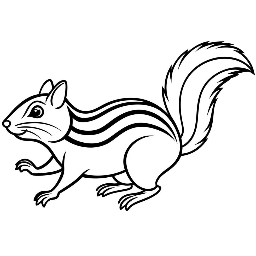 Dutch Rabbit knocks icon vector