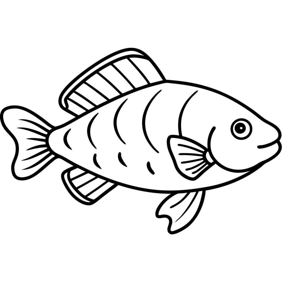 Dwarf Gourami fish lies icon vector