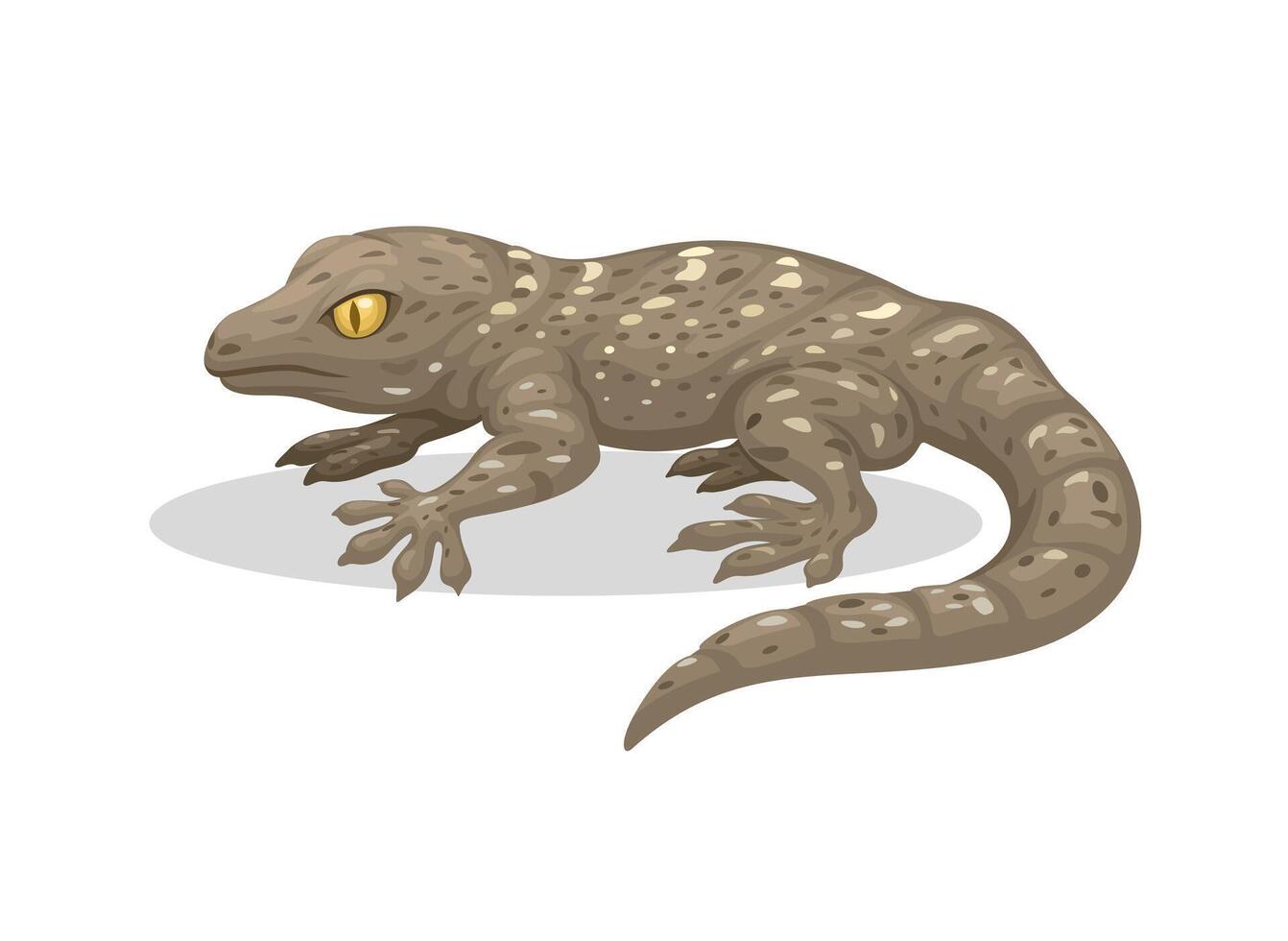 Gecko Exotic Animal Cartoon Illustration vector