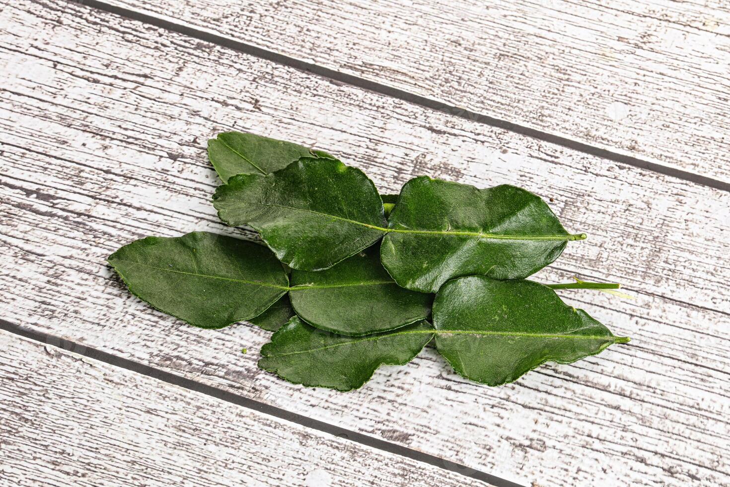 Aroma seasoning kaffir lime leaves photo
