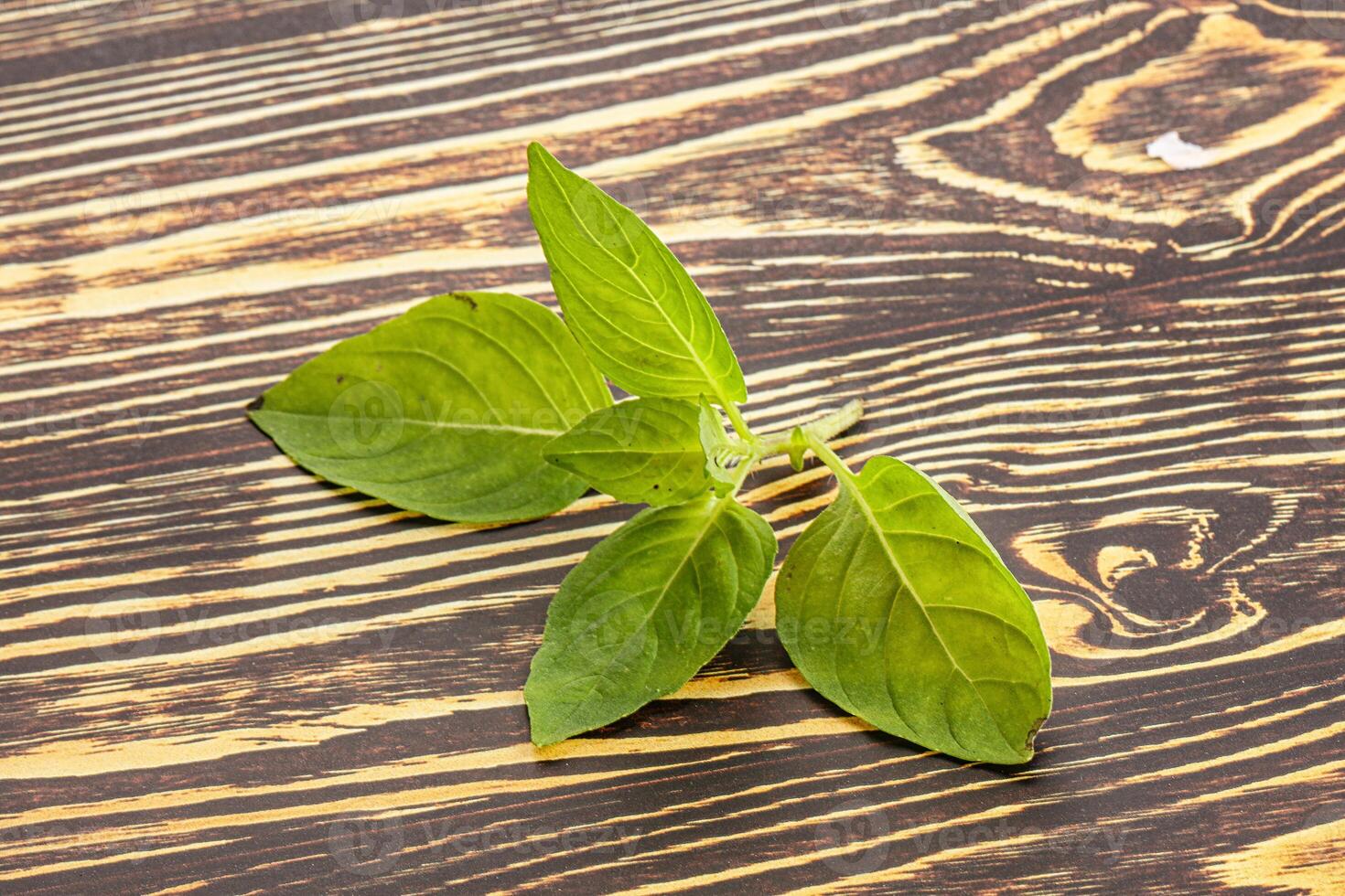Raw green basil leaves seasoning photo