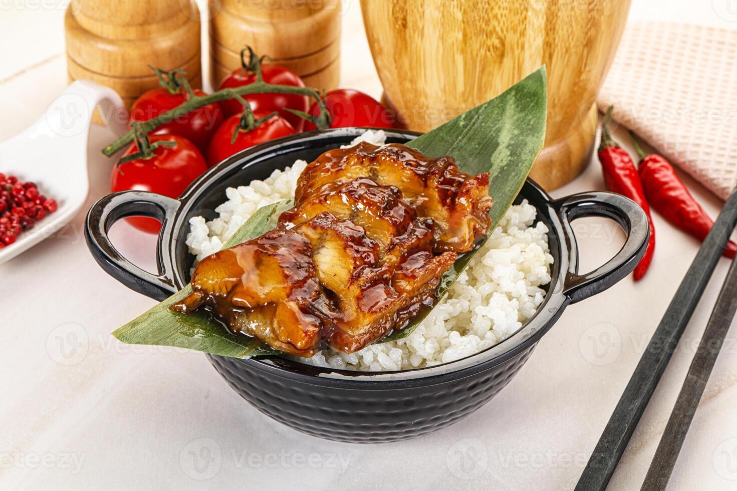 Grilled eel with steamed rice photo