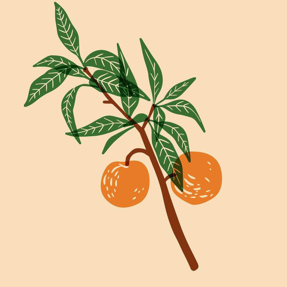 Peach. Colorful cute screen printing effect. Riso print effect. illustration. Graphic element for fabric, textile, clothing, wrapping paper, wallpaper, poster. vector