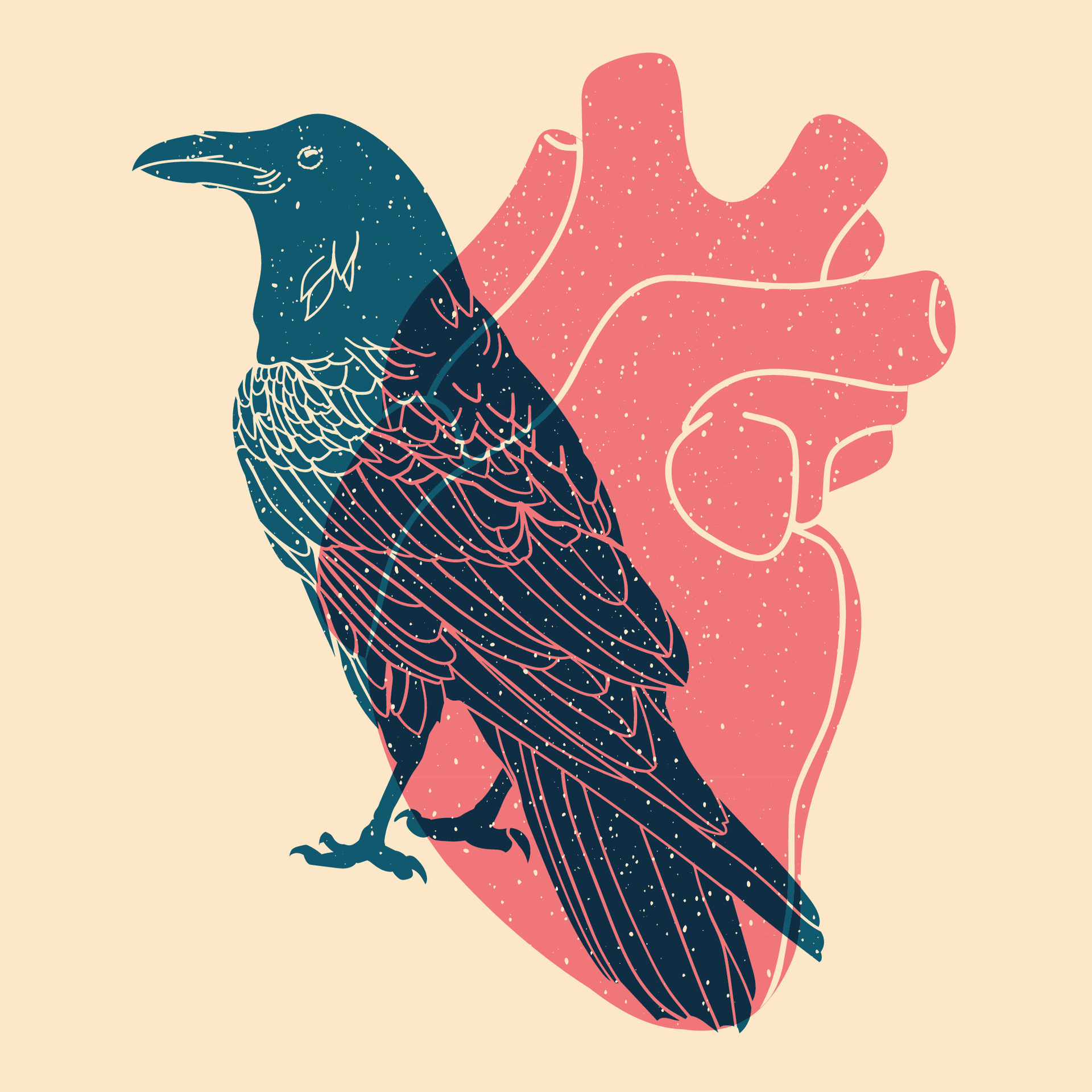 The Raven_Thick1 Effect: How It'S Changing Lives - 8bo959n
