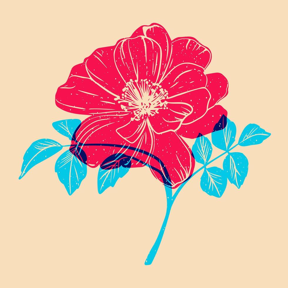 Wild rose. Colorful cute screen printing effect. Riso print effect. Graphic element for fabric, textile, clothing, wrapping paper, wallpaper vector