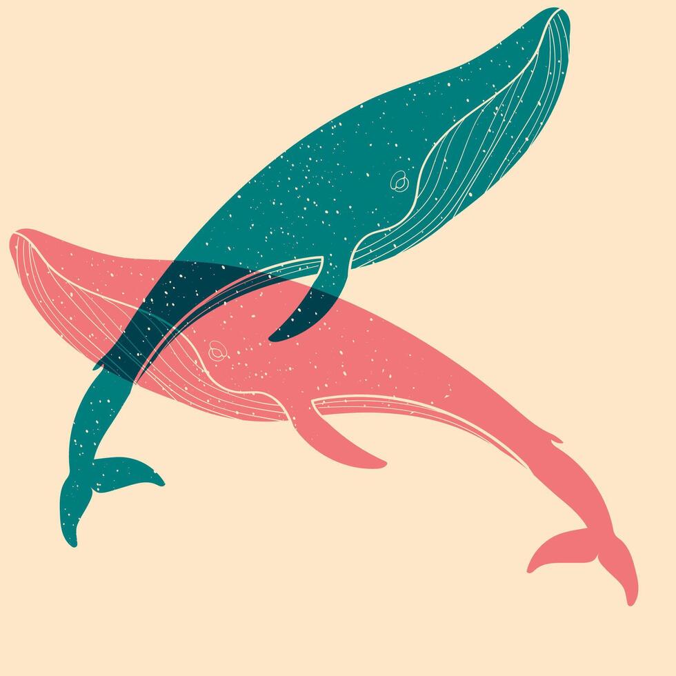 Whale. Colorful cute screen printing effect. Riso print effect. illustration. Graphic element for fabric, textile, clothing, wrapping paper, wallpaper, poster. vector