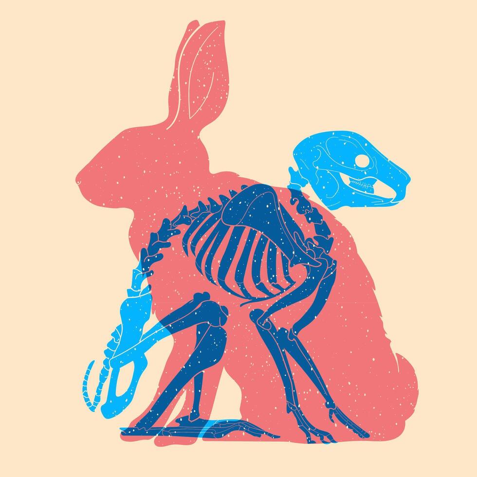Skeleton of rabbit, bunny. Colorful cute screen printing effect. Riso print effect. illustration. Graphic element for fabric, textile, clothing, wrapping paper, wallpaper, poster. vector