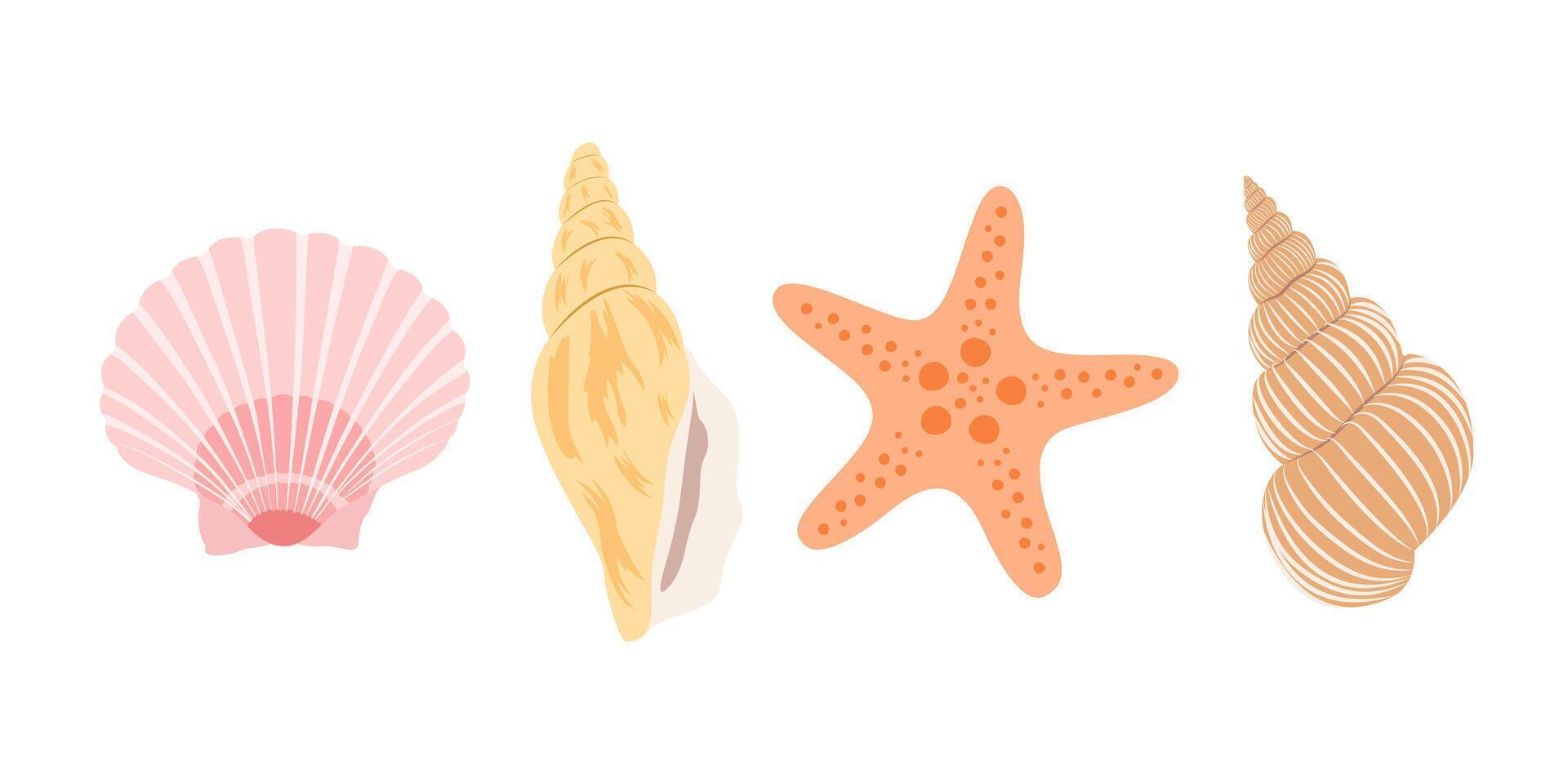 Set with shells and starfish isolated on white background. vector