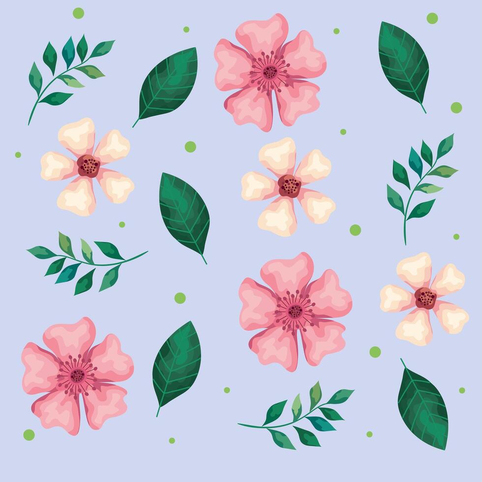 beautiful flowers white and pink with leafs pattern vector