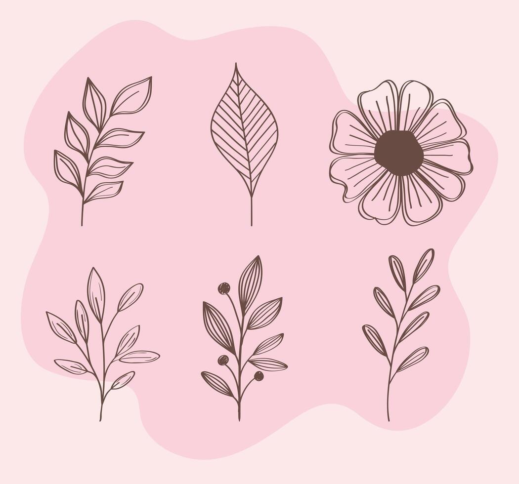 bundle of spring flowers and leafs hand drawn set icons vector
