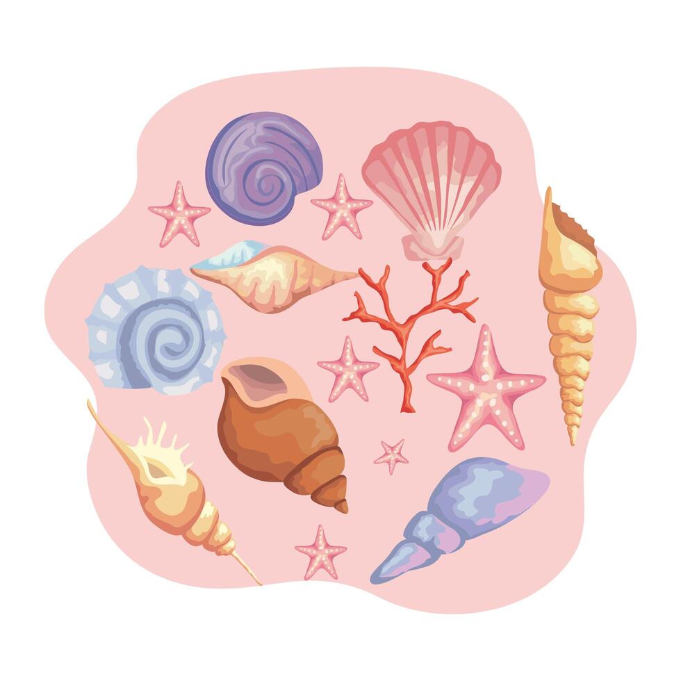 bundle of sea shells colors set icons vector