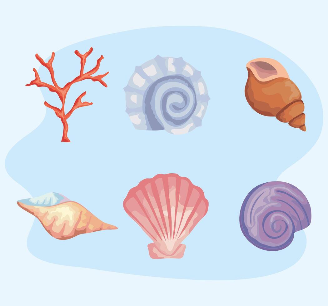 bundle of six sea shells colors set icons vector